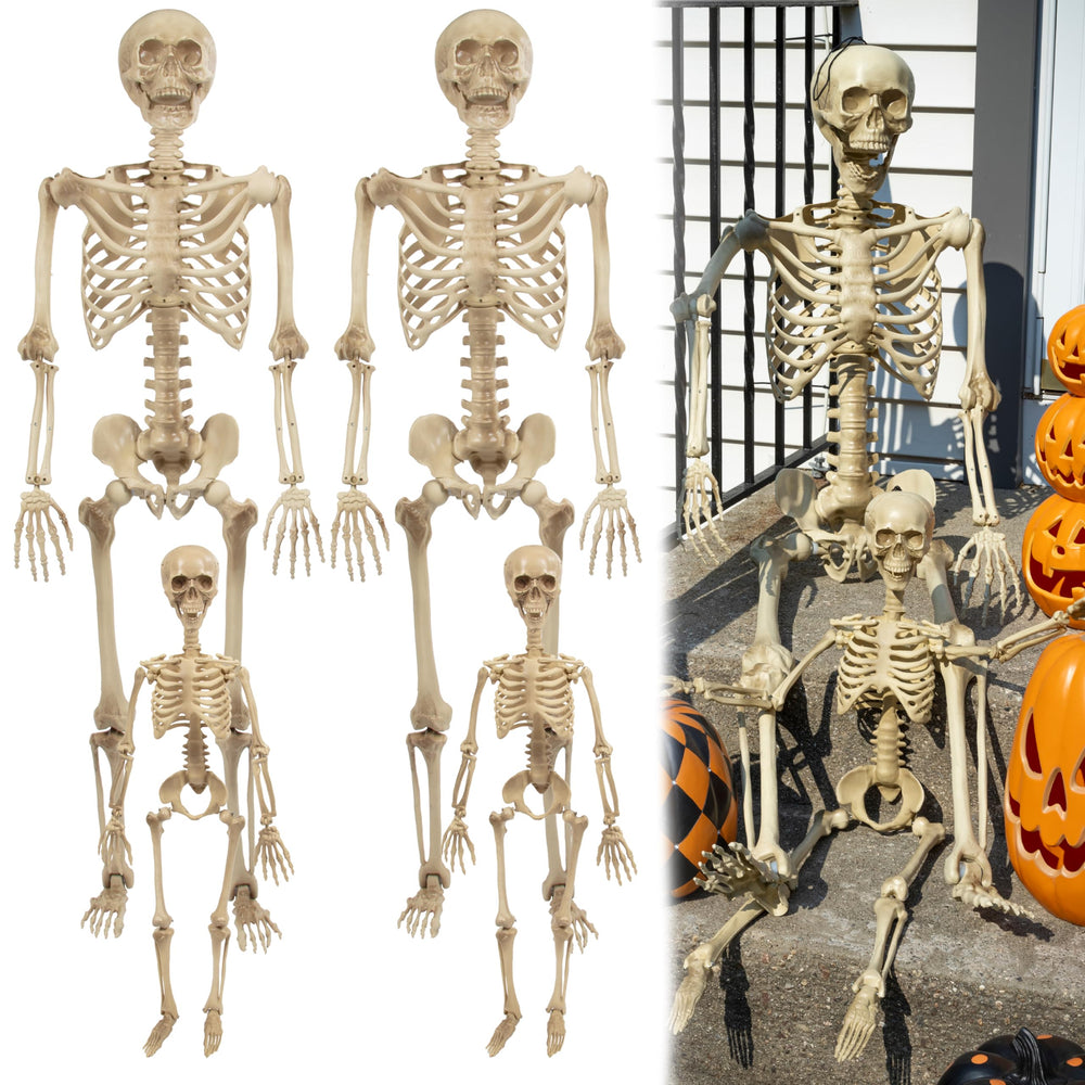 SCS Direct front view of full skeleton family showing setup and visual impact