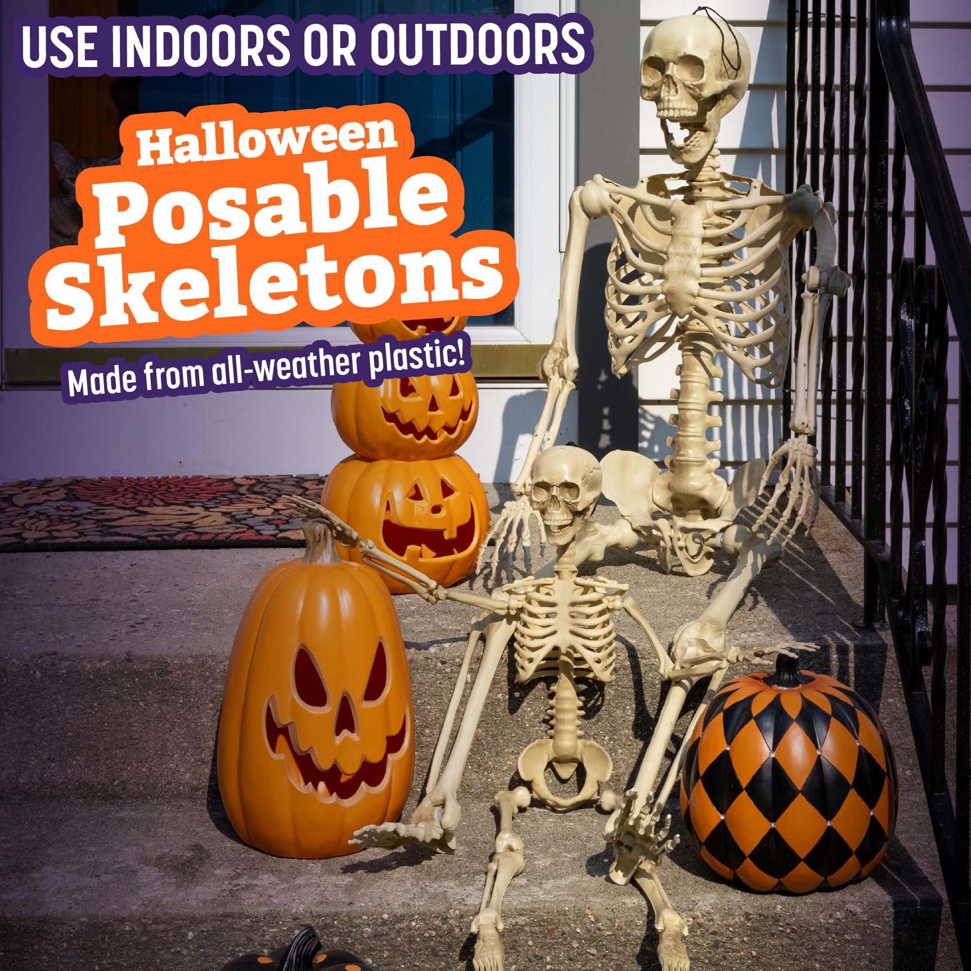 SCS Direct skeletons beside measuring tape showing heights and proportions