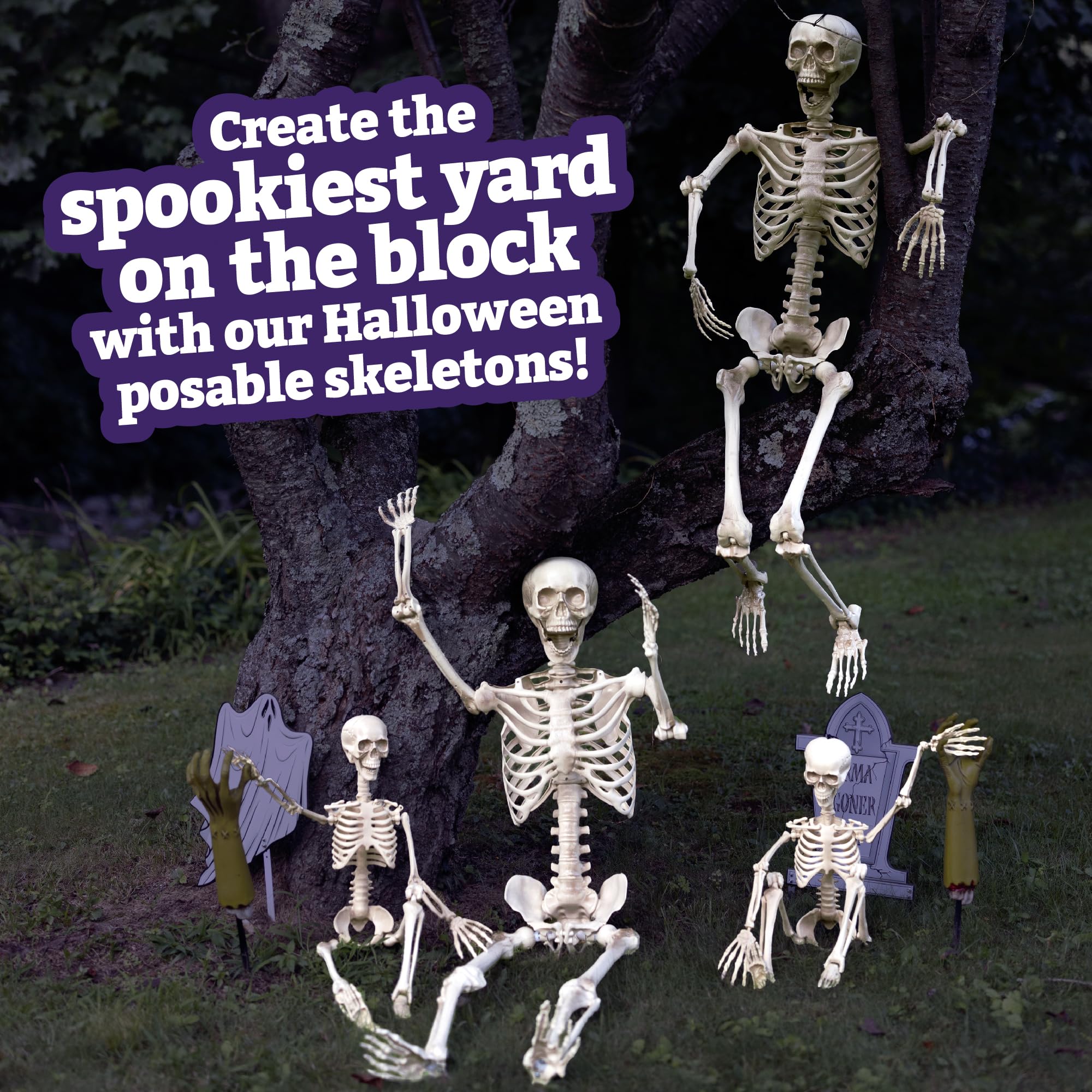 SCS Direct adult and child skeletons hanging in a display creating striking decor