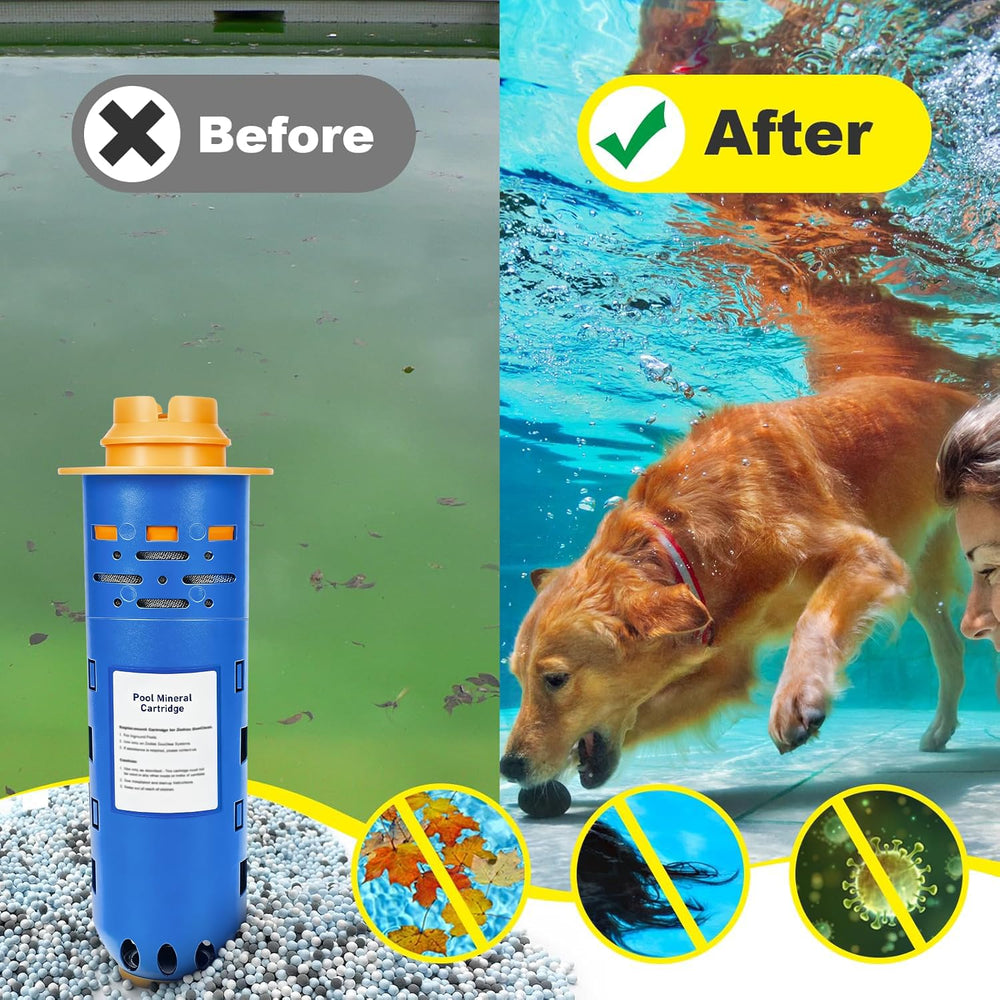sdanbom cartridge installed in pool filtration system for restored performance