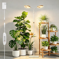 SDOVUERC front view of full spectrum ring stand showing elegant home benefit
