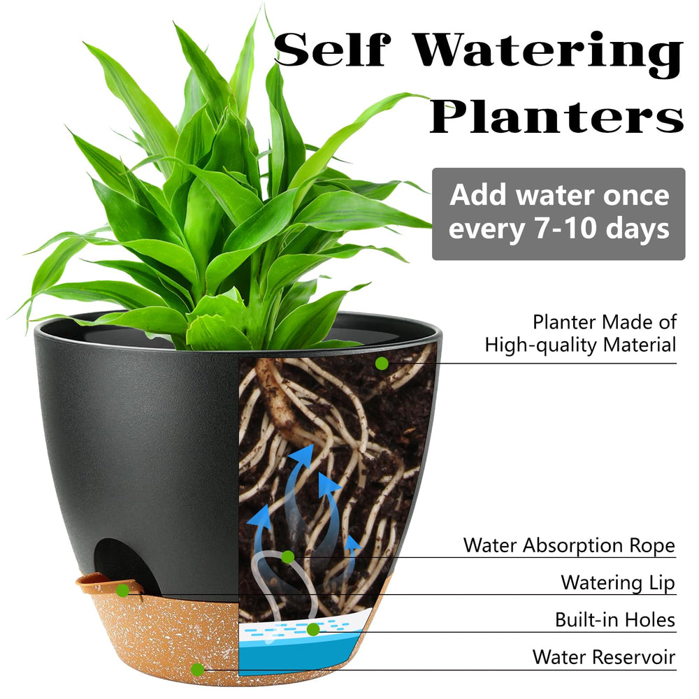 SE SUN-E close-up of built-in water fill lip showing convenient refill access to preserve roots