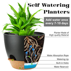 SE SUN-E close-up of built-in water fill lip showing convenient refill access to preserve roots