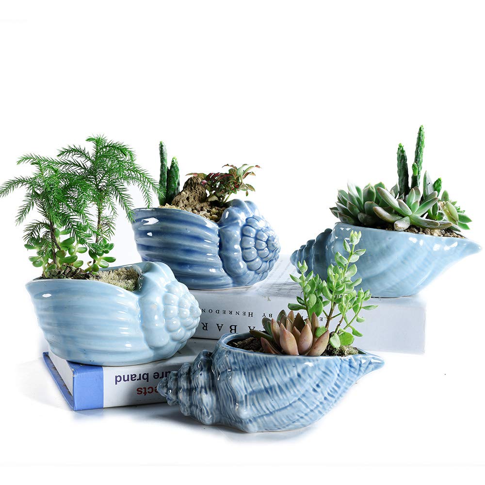 SE SUN-E front view of blue conch pots showing coordinated design and color benefits