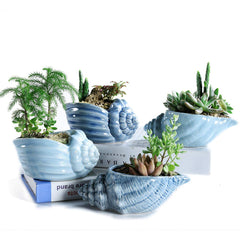 SE SUN-E front view of blue conch pots showing coordinated design and color benefits