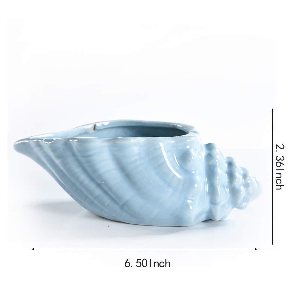SE SUN-E four conch pots on bookshelf showing cohesive display and decor uplift benefit