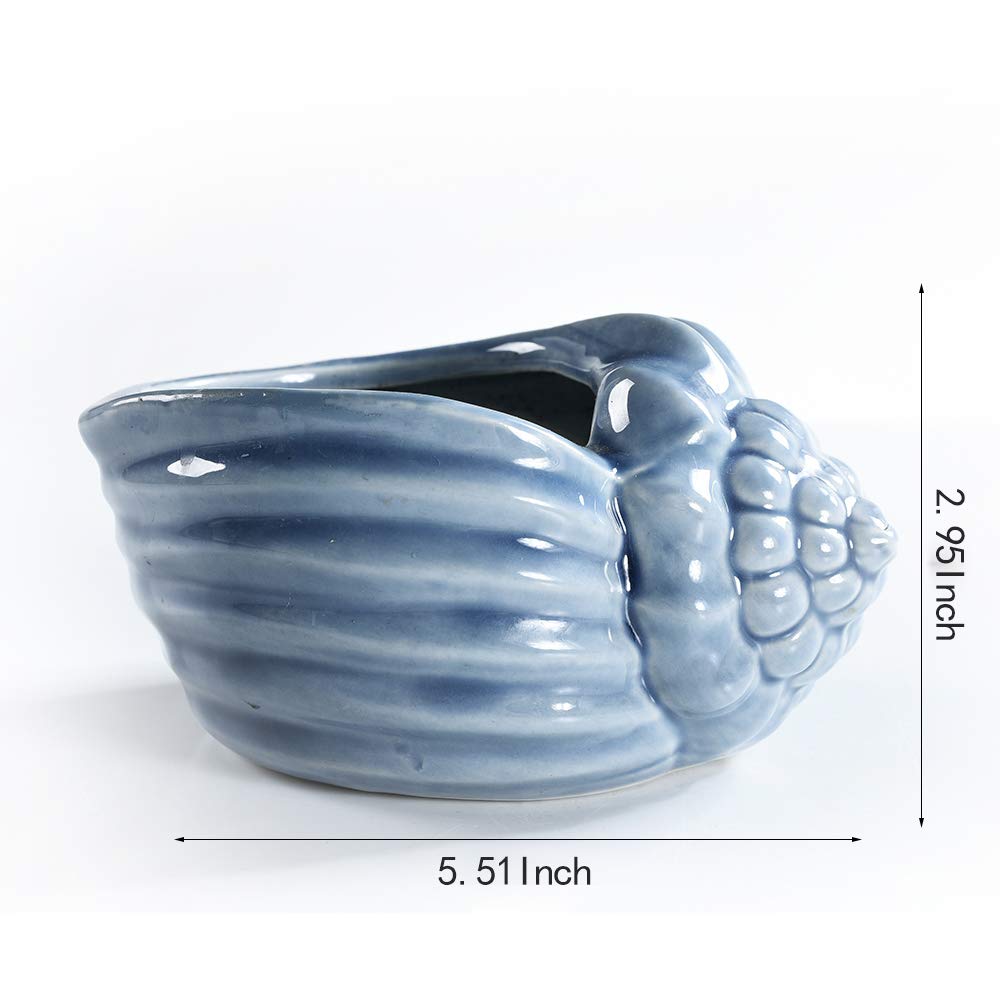 SE SUN-E conch pot held in hand showing scale and ease of placement benefit