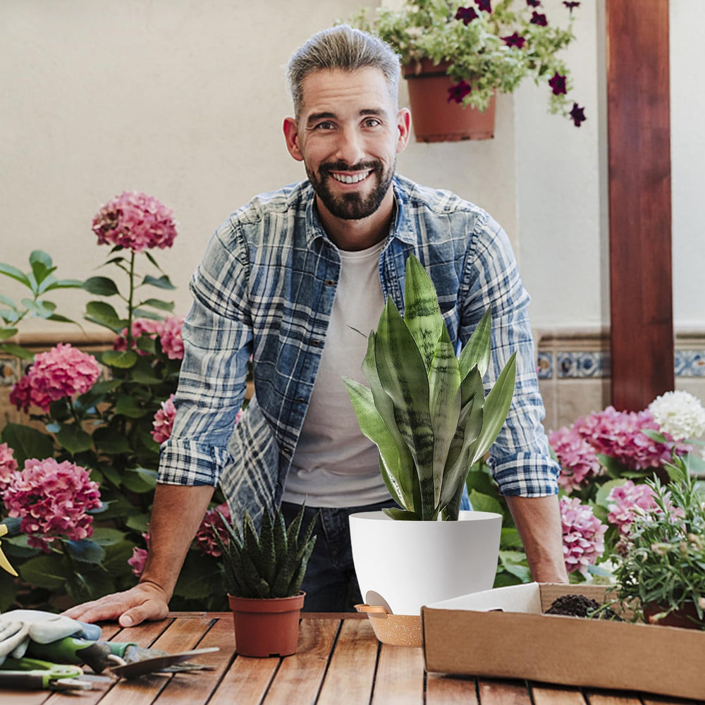 SE SUN-E gift-wrapped planter set presented as a thoughtful present idea