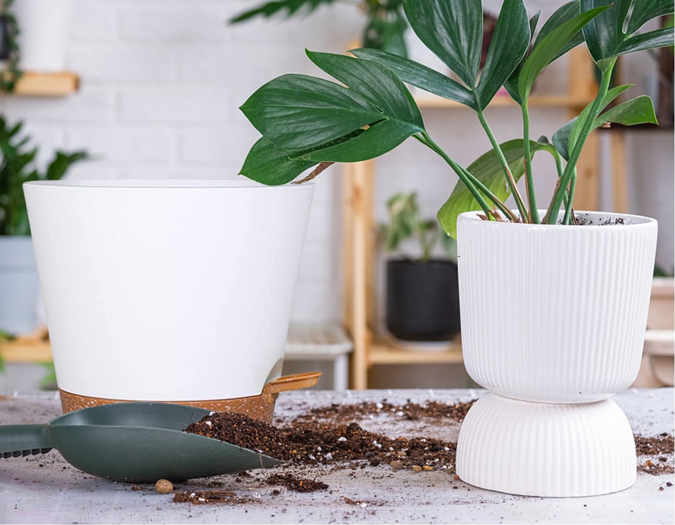 SE SUN-E pair styled on a living room console adding clean decor and moisture control benefit