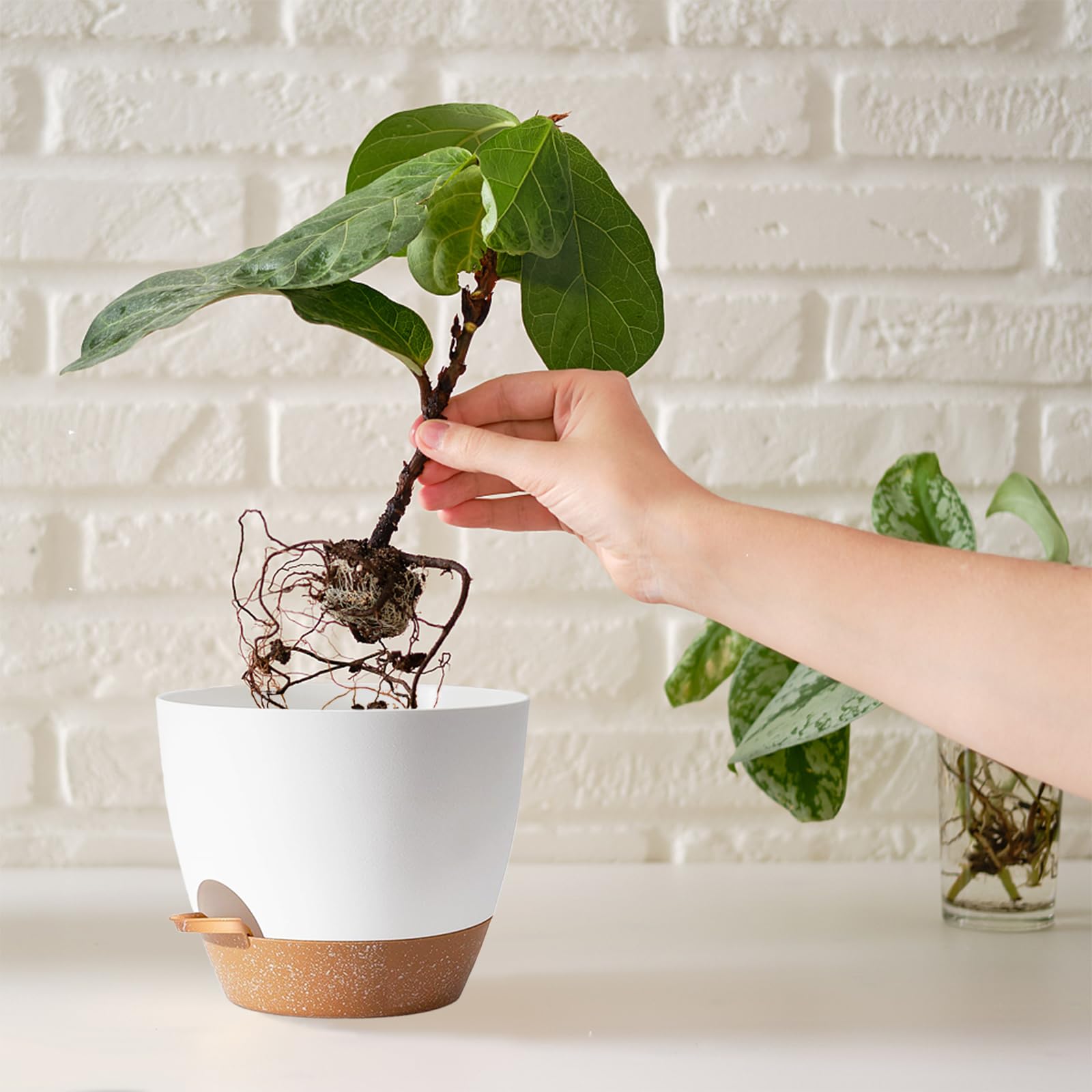 SE SUN-E planted pots styled on a shelf enhancing indoor decor and air quality
