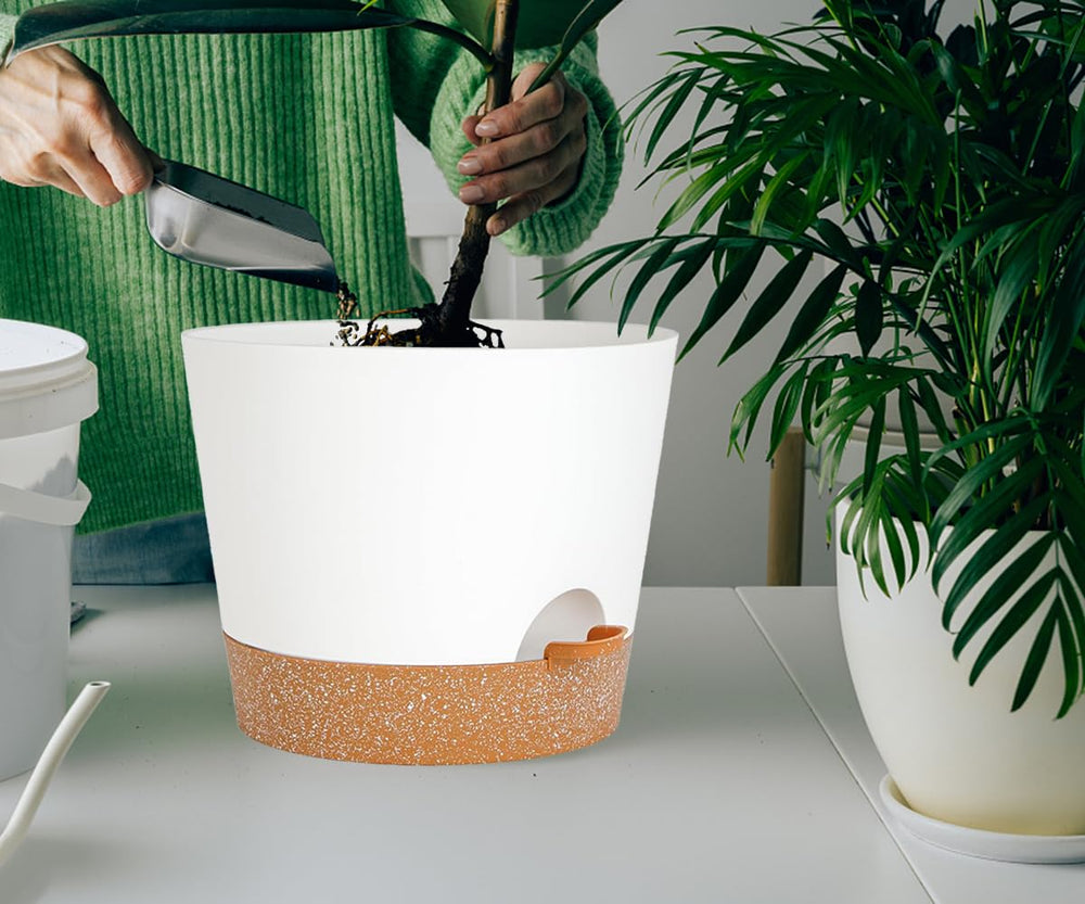 SE SUN-E planter holding a succulent illustrating tidy planting and low-maintenance benefit