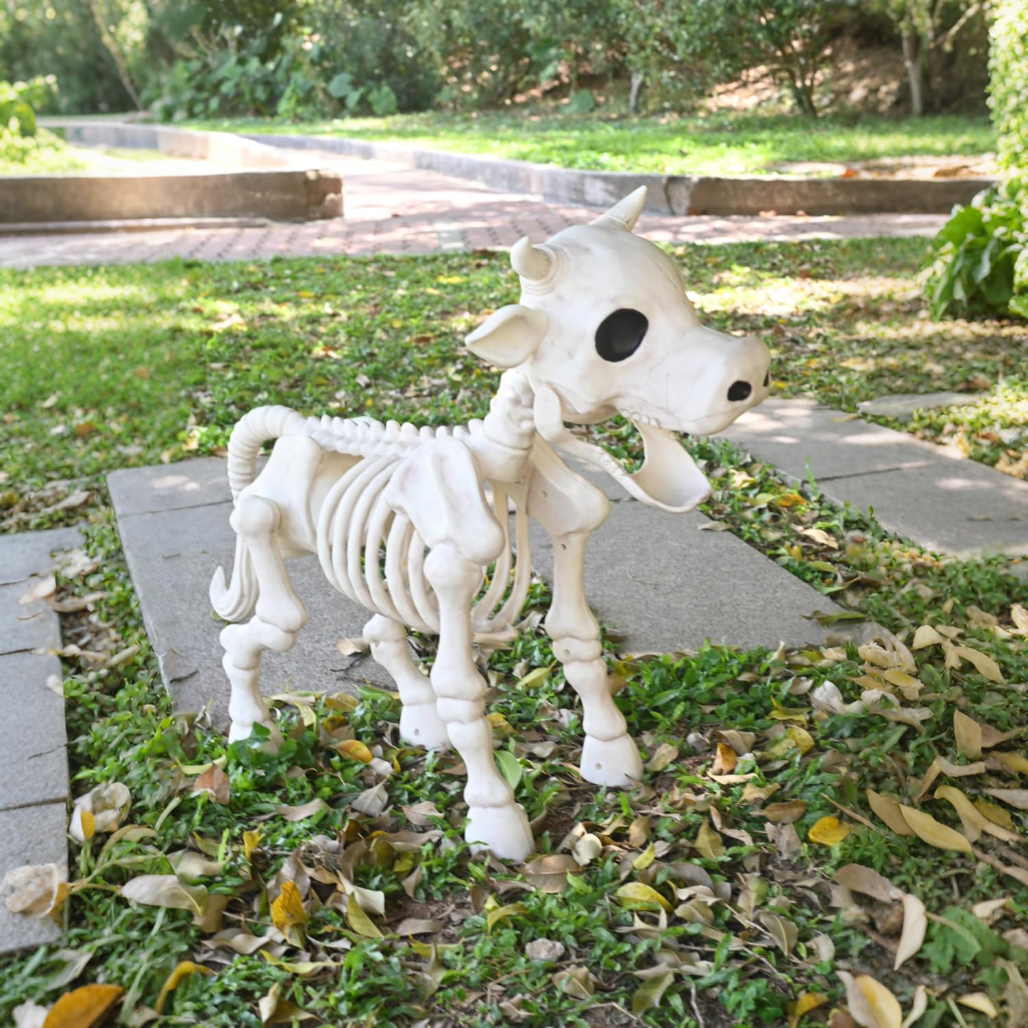 Seasons skeleton cow packed storage showing compactness and convenient offseason storage
