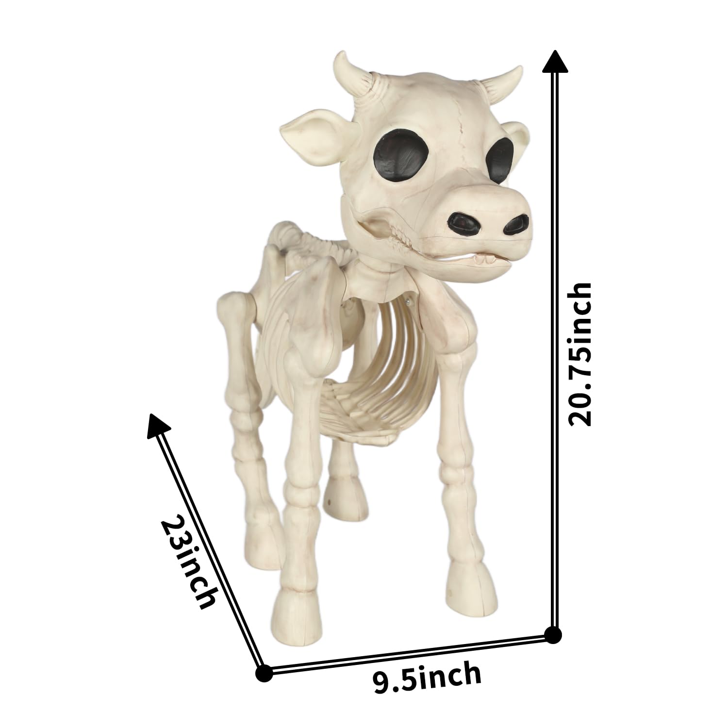 Seasons skeleton cow rib detail emphasizing molded contours and dramatic shadowing