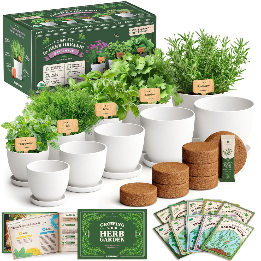 Seedboy front packaging showing full herb kit and contents for easy start