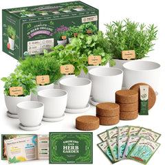 Seedboy front packaging showing full herb kit and contents for easy start