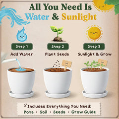 Seedboy melamine pots and trays arranged for neat indoor herb gardening
