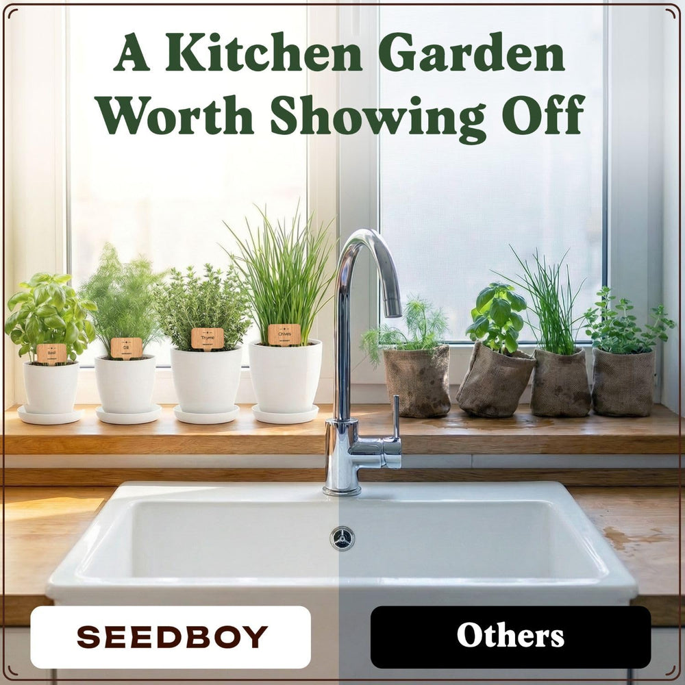 Seedboy plant markers and organic plant food packets for simple feeding