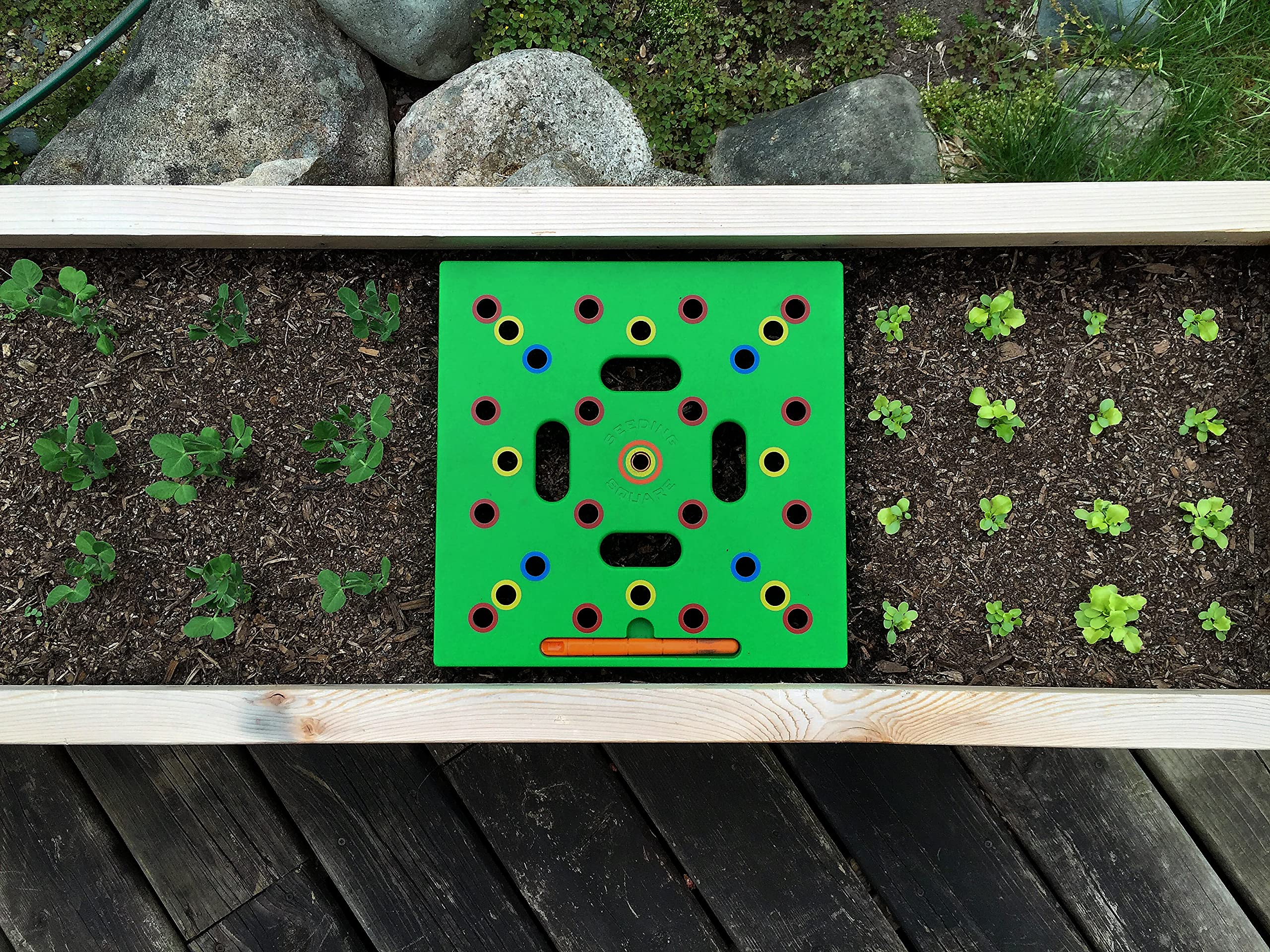 Seeding Square in a garden lifestyle scene demonstrating increased productivity