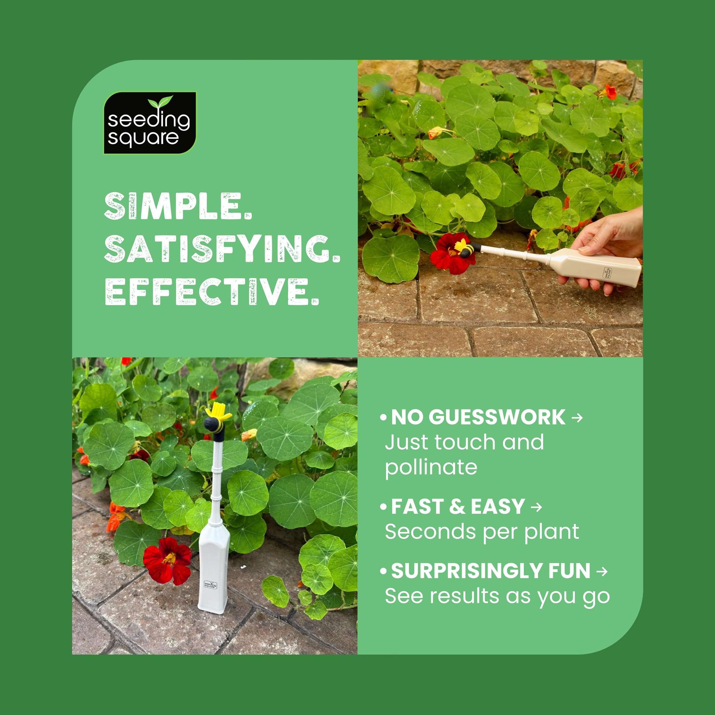 Seeding Square pollinating a tomato blossom to improve fruit set in indoor gardens
