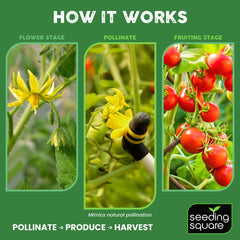 Seeding Square detail of thumb-activated vibration control enabling precise pollination