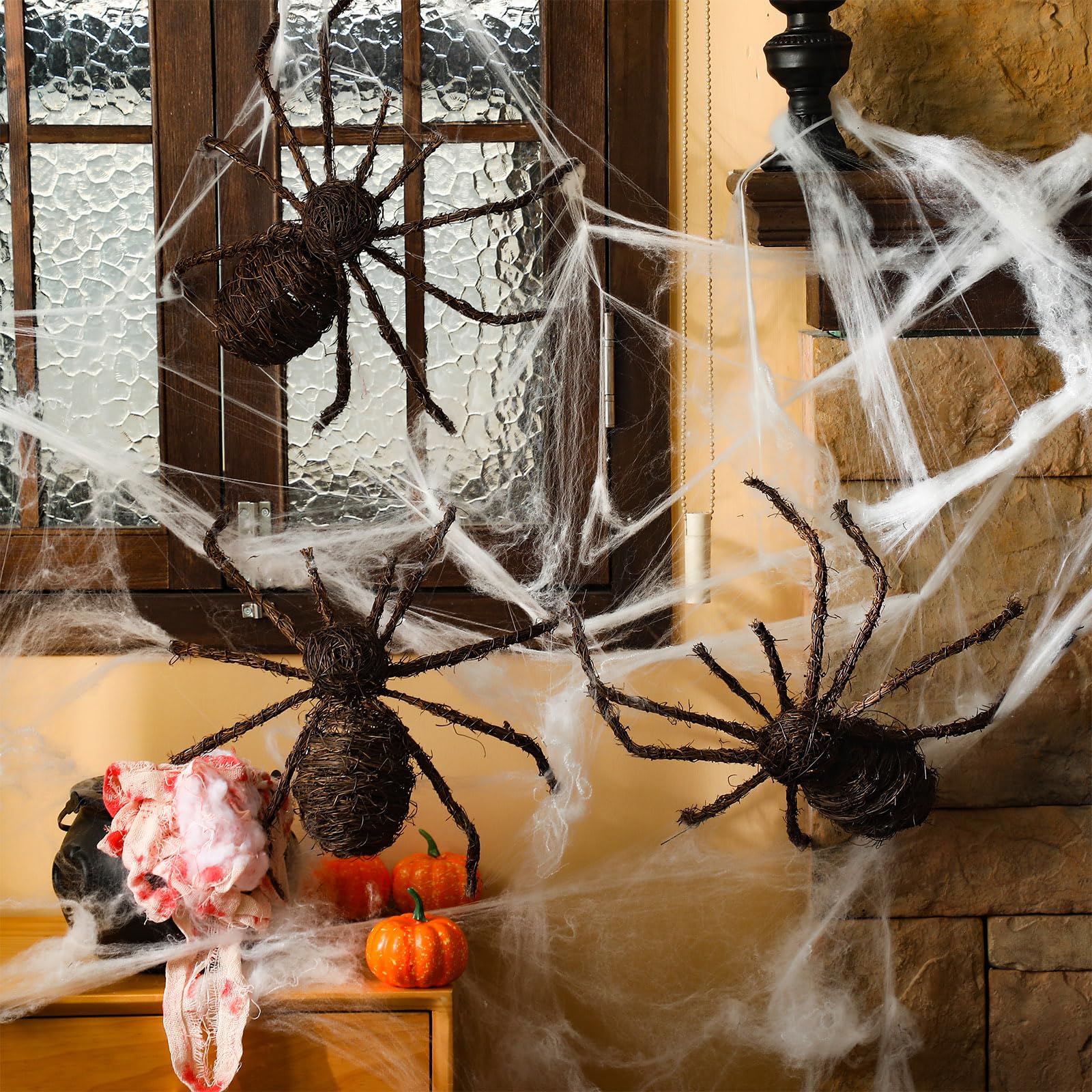Seenelling spider beside a chair showing scale and easy handling benefit