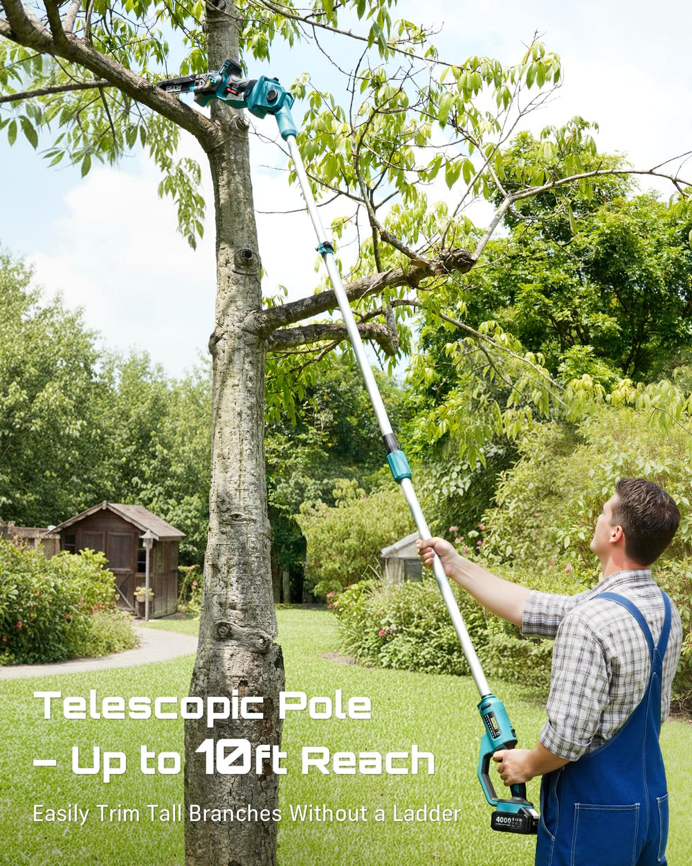 SEESII telescoping pole extended to full length for safer overhead pruning