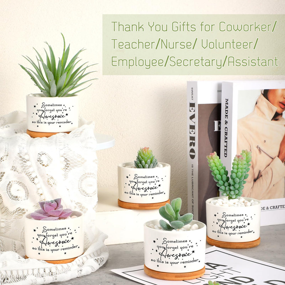 SEEWEY multiple pots displayed in a classroom setting ideal for teacher or staff gifts