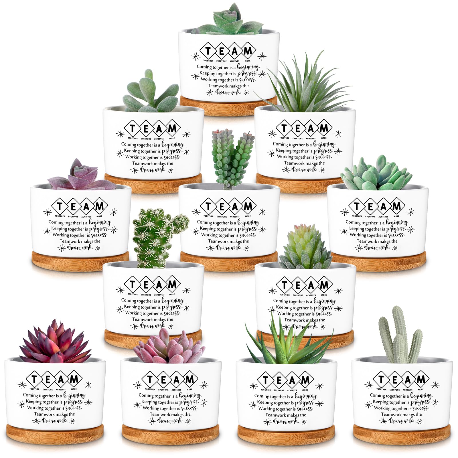 SEEWEY front view of twelve-pack ceramic pots showing coordinated set and trays, perfect for gifting