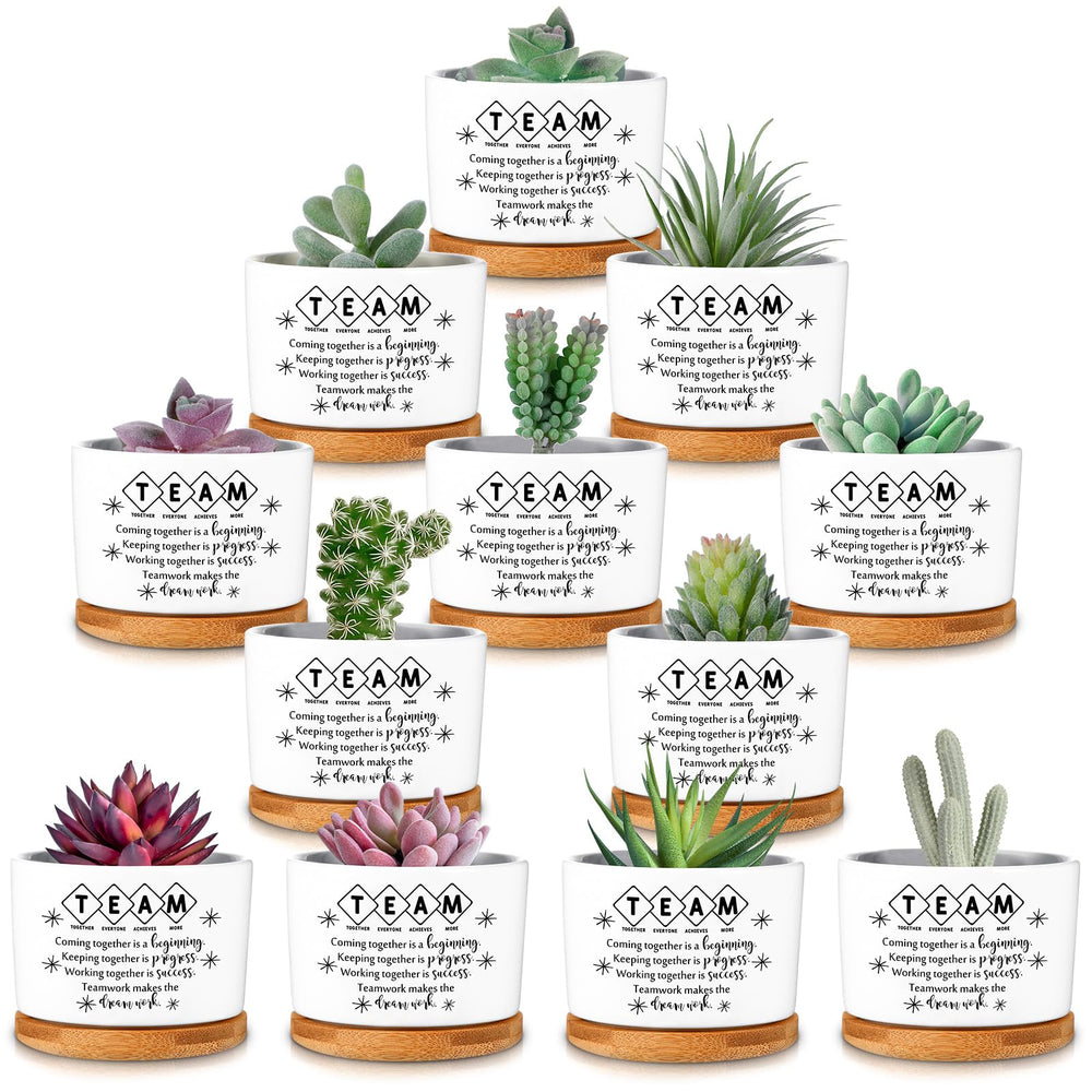 SEEWEY front view of twelve-pack ceramic pots showing coordinated set and trays, perfect for gifting