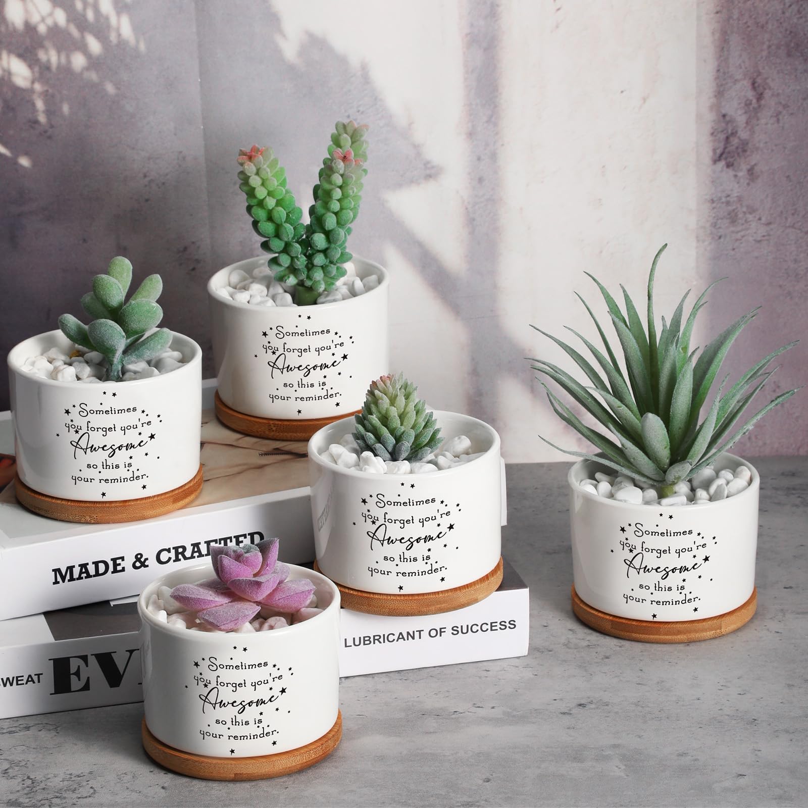 SEEWEY pots arranged on an office desk offering cheerful décor and compact greenery