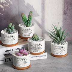 SEEWEY ceramic glaze texture close-up highlighting smooth finish and durable surface benefit