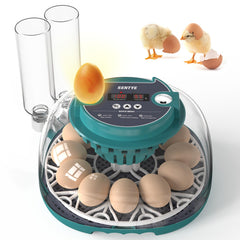 SENTYE front view showing compact incubator and clear lid for easy monitoring