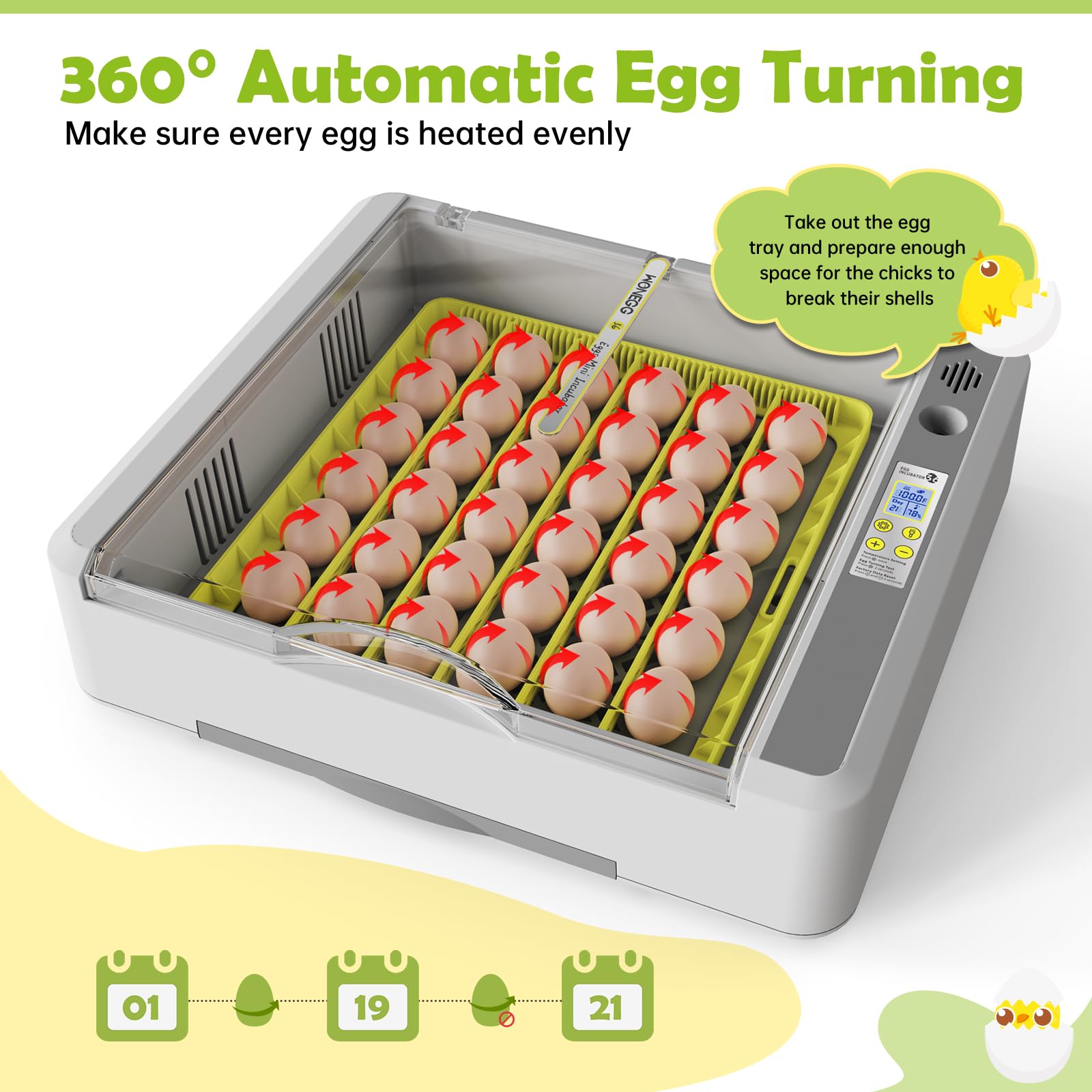 SENXINGYAN adjustable egg rack detail ensuring secure, uniform positioning