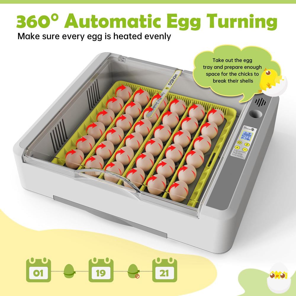 SENXINGYAN adjustable egg rack detail ensuring secure, uniform positioning