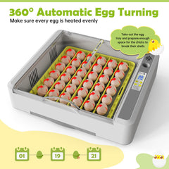 SENXINGYAN adjustable egg rack detail ensuring secure, uniform positioning