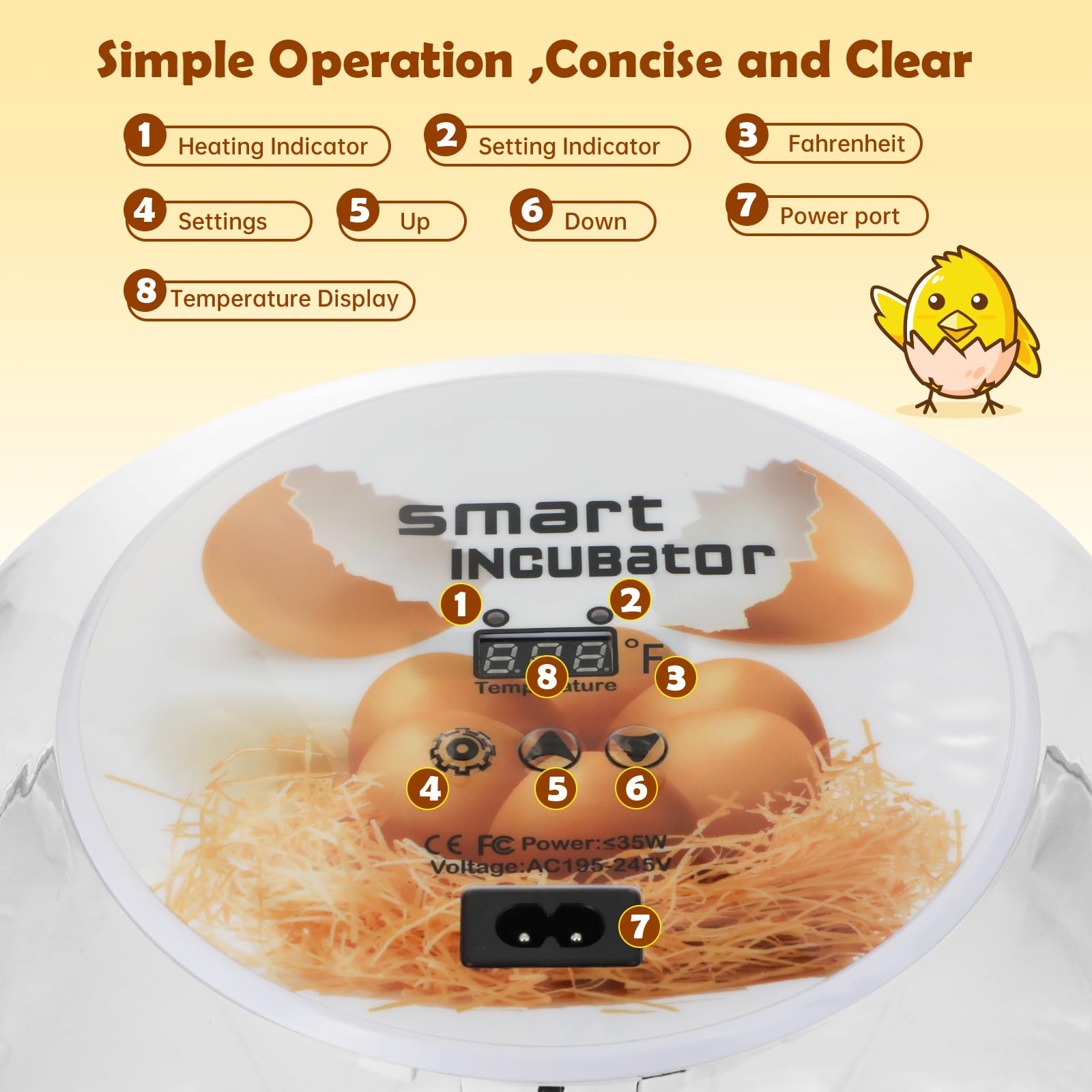 SENXINGYAN incubator loaded with 12 eggs illustrating secure, even spacing and hatch readiness