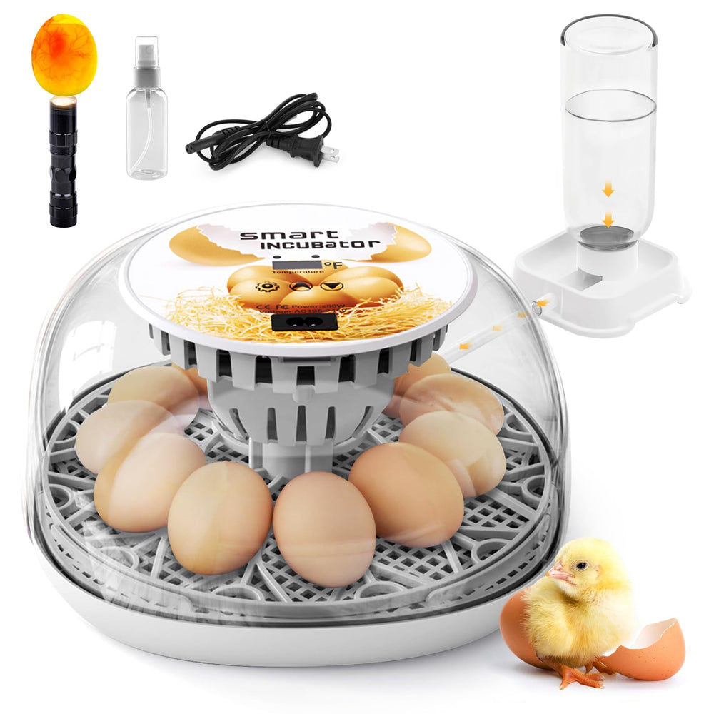 SENXINGYAN incubator front view showing compact design and clear lid for easy monitoring