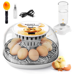 SENXINGYAN incubator front view showing compact design and clear lid for easy monitoring