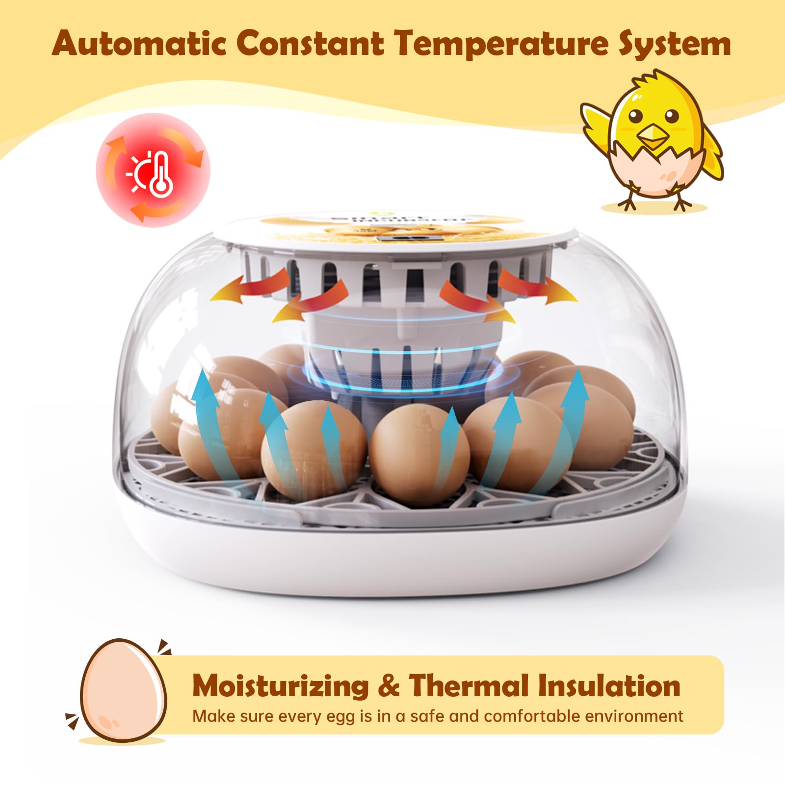 SENXINGYAN internal turntable detail demonstrating gentle automatic egg turning benefit