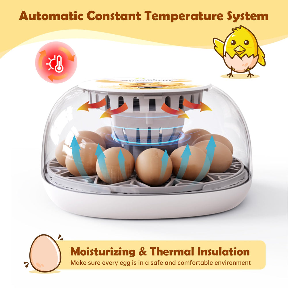 SENXINGYAN internal turntable detail demonstrating gentle automatic egg turning benefit