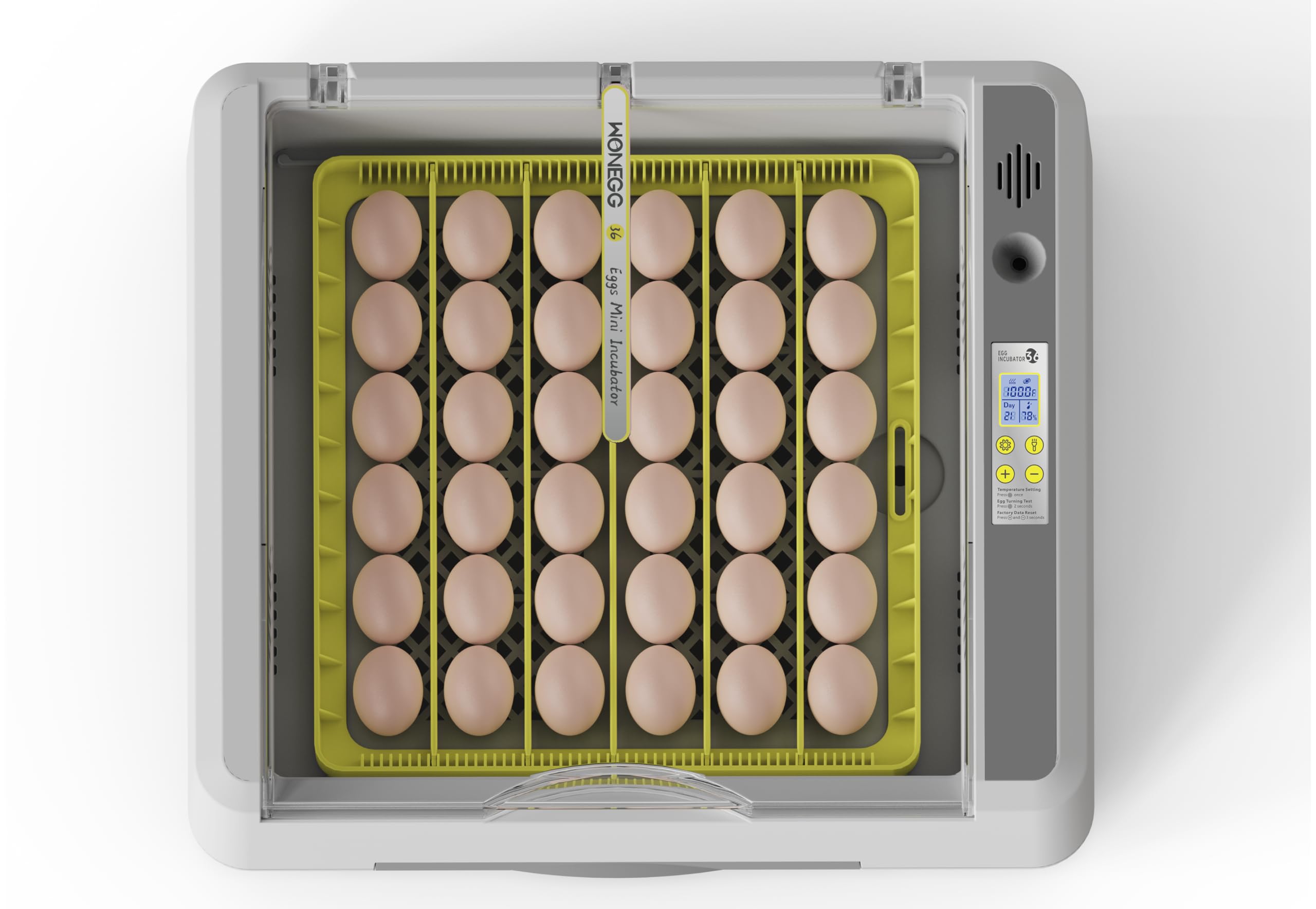 SENXINGYAN size comparison next to eggs showing compact footprint