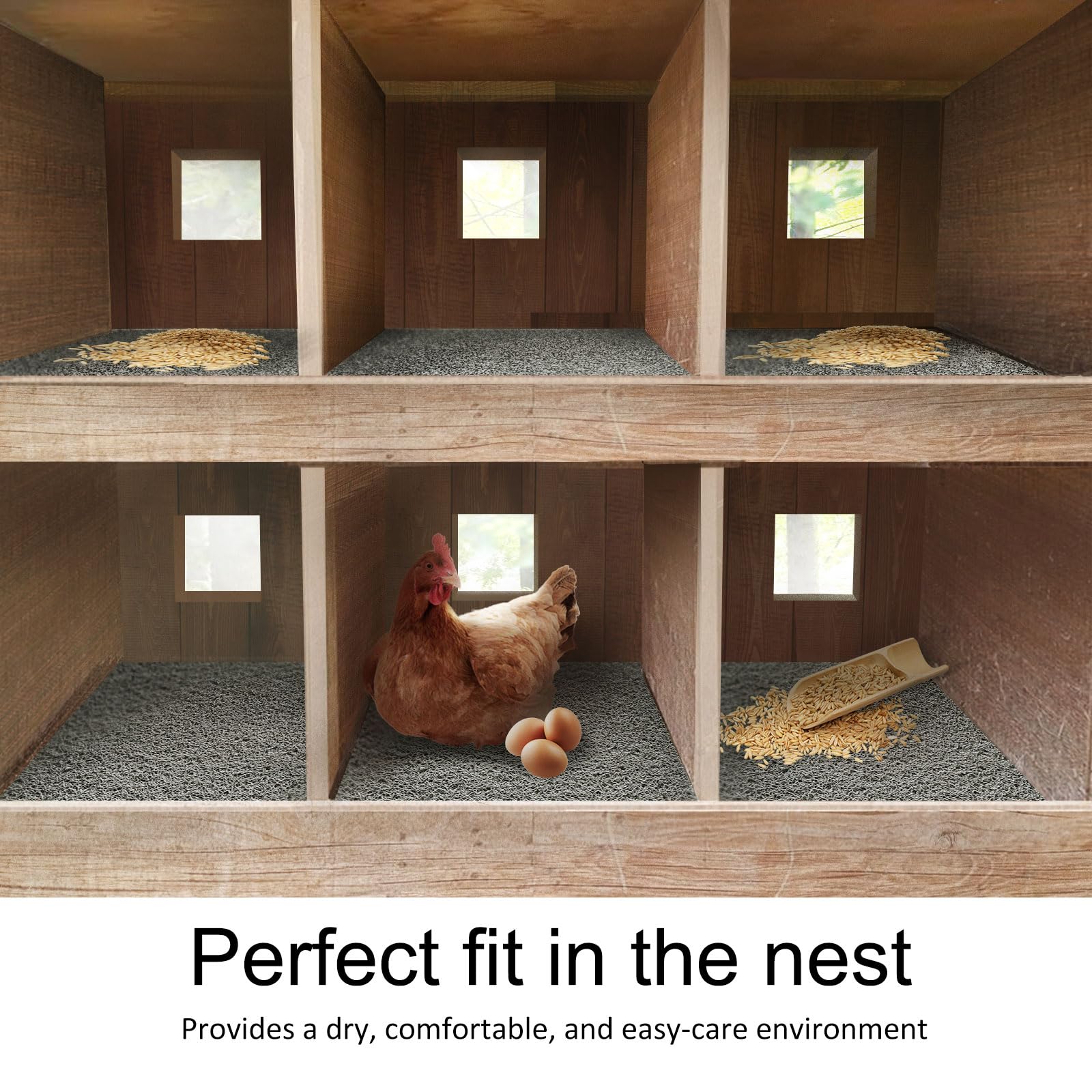 Serendipresent wooden fake eggs detail showing realistic training eggs benefit