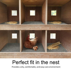 Serendipresent wooden fake eggs detail showing realistic training eggs benefit