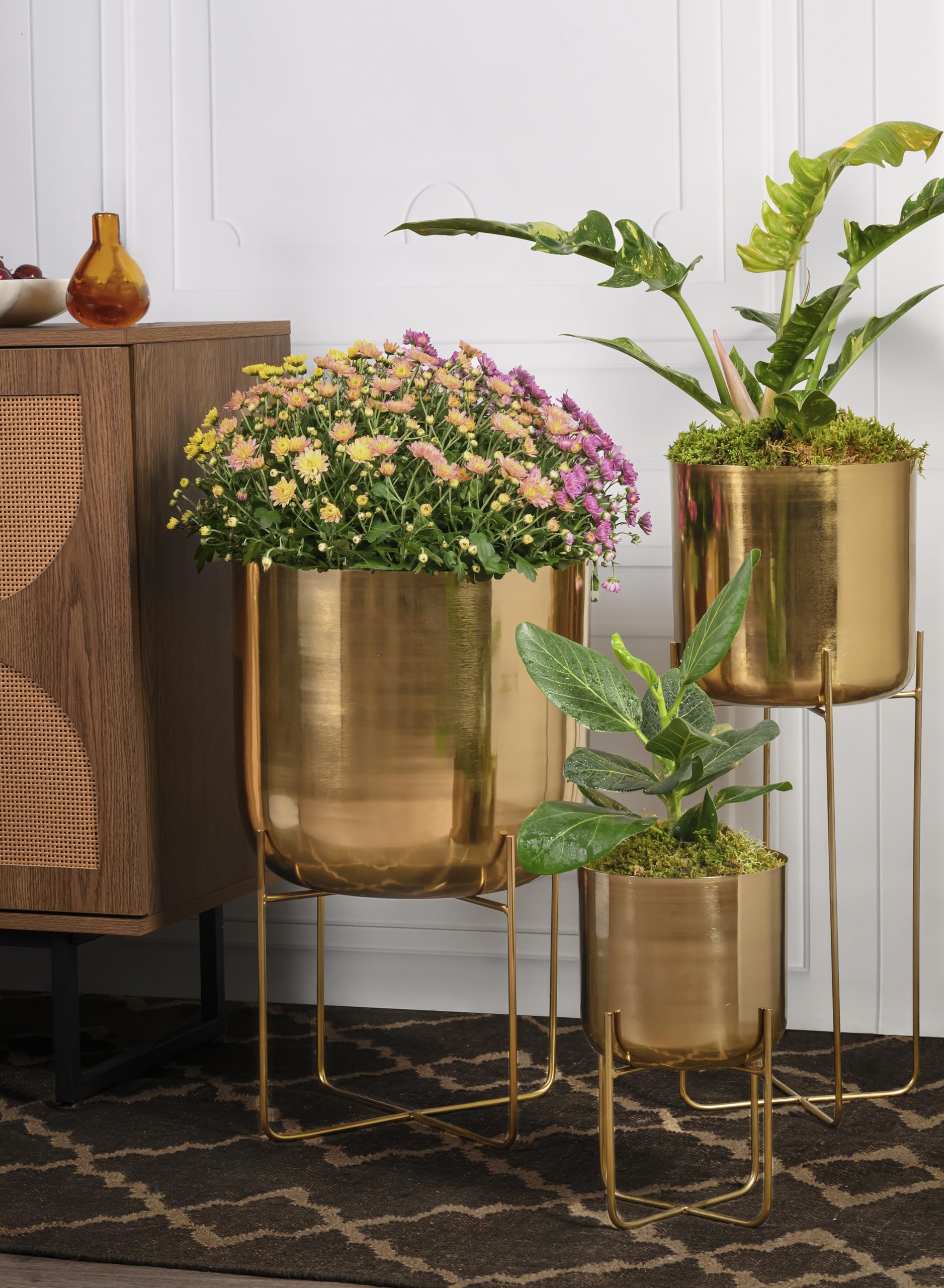 Serene Spaces Living planter next to ruler showing dimensions for space planning