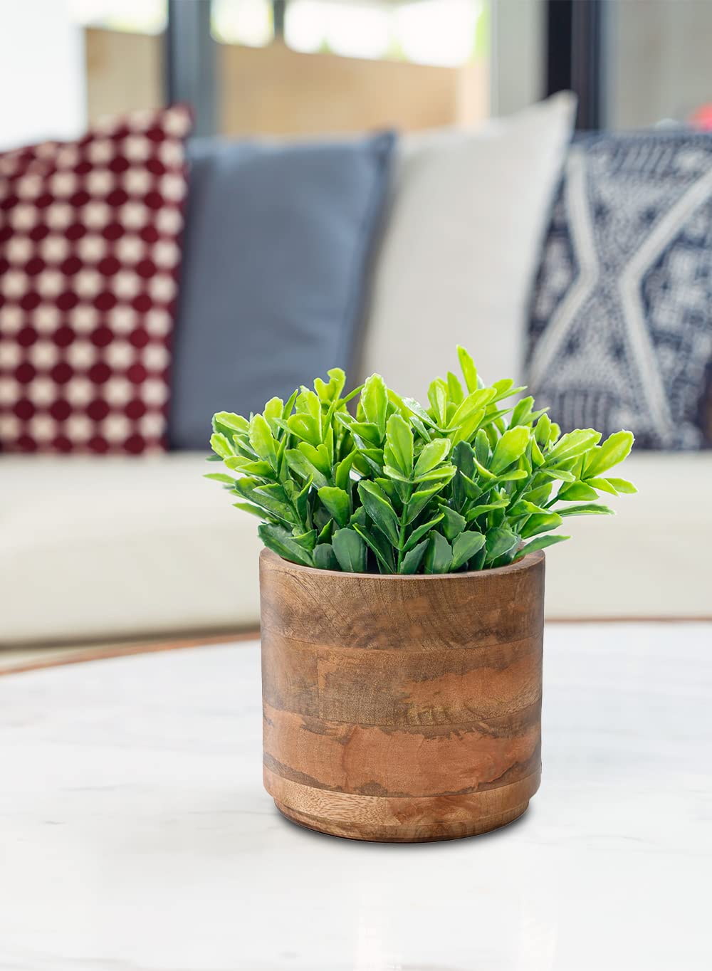 Serene Spaces Living with nursery pot inserted demonstrating safe use with live plants