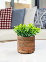 Serene Spaces Living with nursery pot inserted demonstrating safe use with live plants