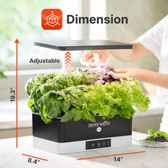 SereneLife top view of grow deck with seedlings demonstrating clean soil‑free planting