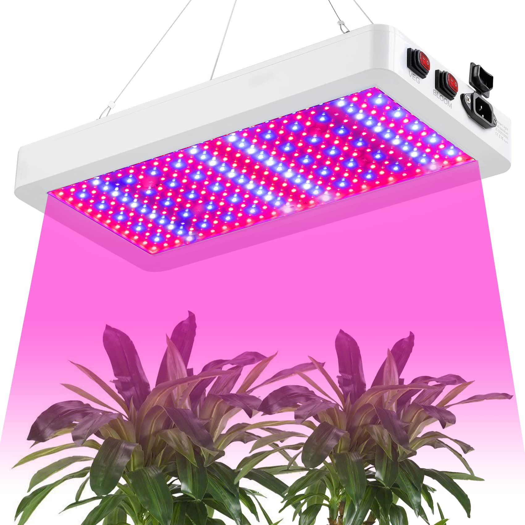 SERWING B1000W front view showing full spectrum LEDs and robust housing for reliable lighting