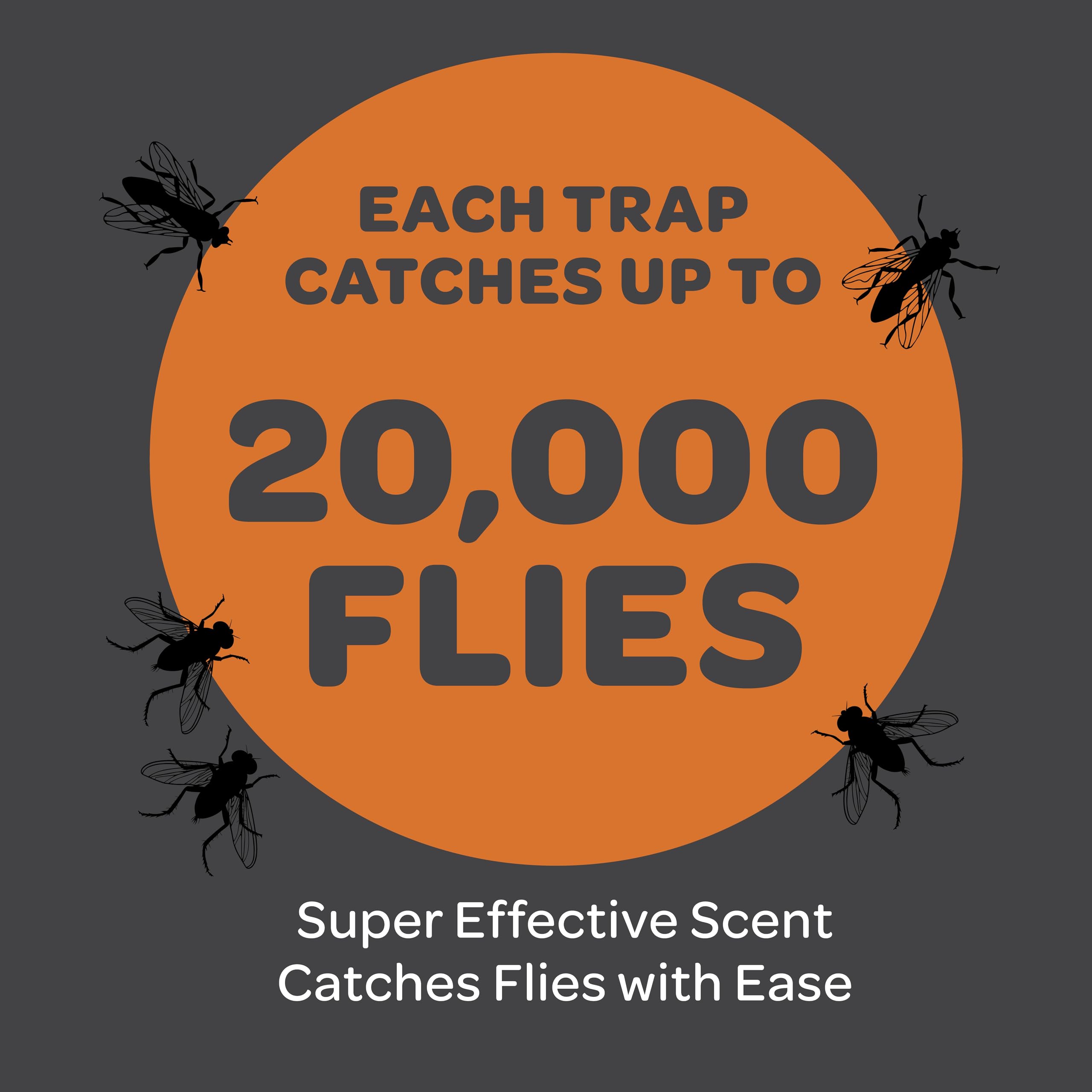 SEWANTA trap hanging from patio beam catching flies, keeps seating areas clearer