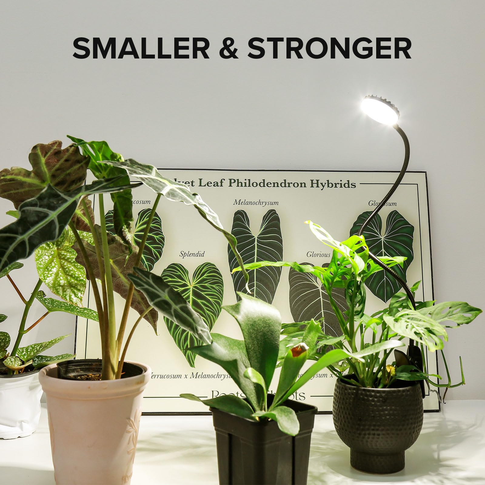 SGLEDs lifestyle kitchen herbs lit by lamp showing healthier herb growth benefit